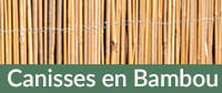 Canisses en Bambou